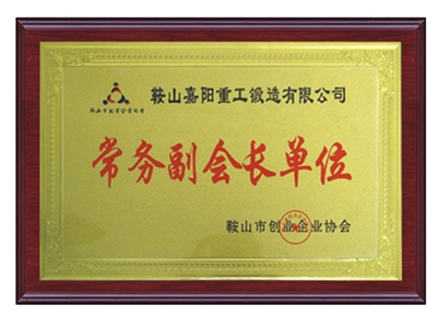鞍山市創(chuàng)業(yè)企業(yè)協會常務副會長單位